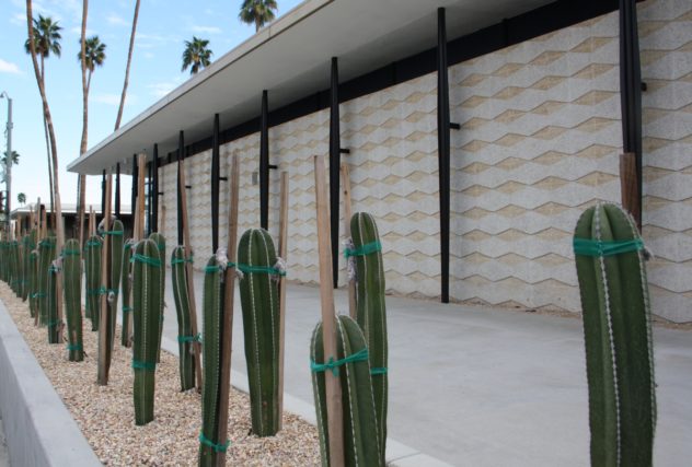 Palm Springs Desert Modernism