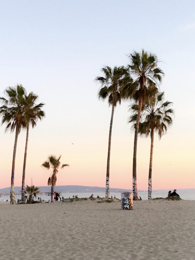 graffiti palms venice Beach sunset light 